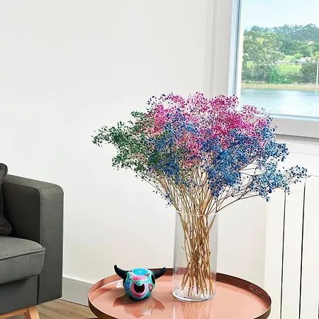 Apartamento Brisas Do Albarino Apartment Cambados